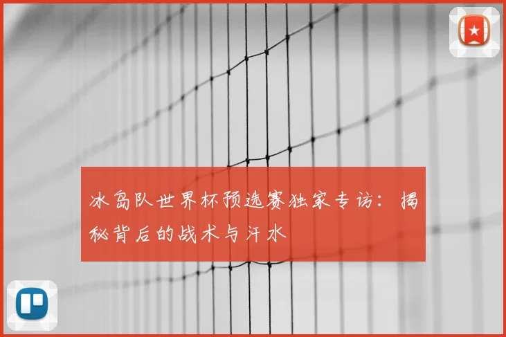 冰岛队世界杯预选赛独家专访：揭秘背后的战术与汗水