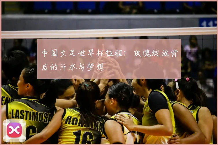 中国女足世界杯征程：玫瑰绽放背后的汗水与梦想