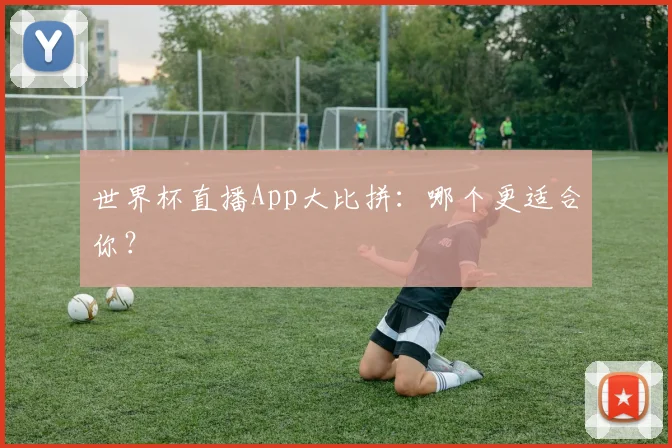 世界杯直播App大比拼：哪个更适合你？