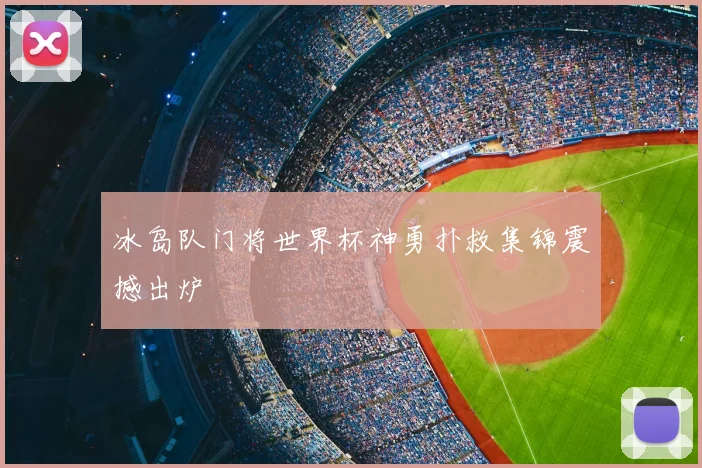 冰岛队门将世界杯神勇扑救集锦震撼出炉