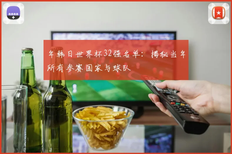 年韩日世界杯32强名单：揭秘当年所有参赛国家与球队