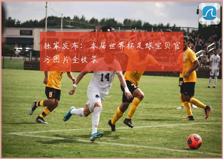 独家发布：本届世界杯足球宝贝官方图片全收录